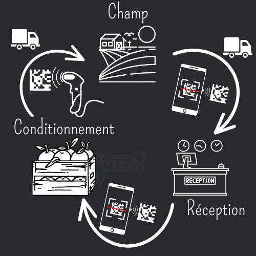 SCHEMA PRÉSENTANT LE CYCLE DE ROTATION DES PALOX